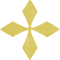 A cross-shaped icon
