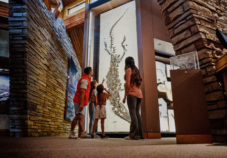 A man, a woman, and two children look at a museum exhibit together.